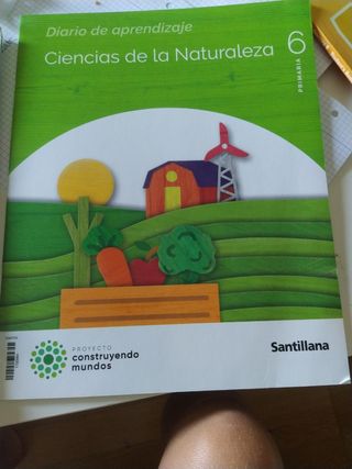 Libro de ccnn, edición Santillana,de 6°
