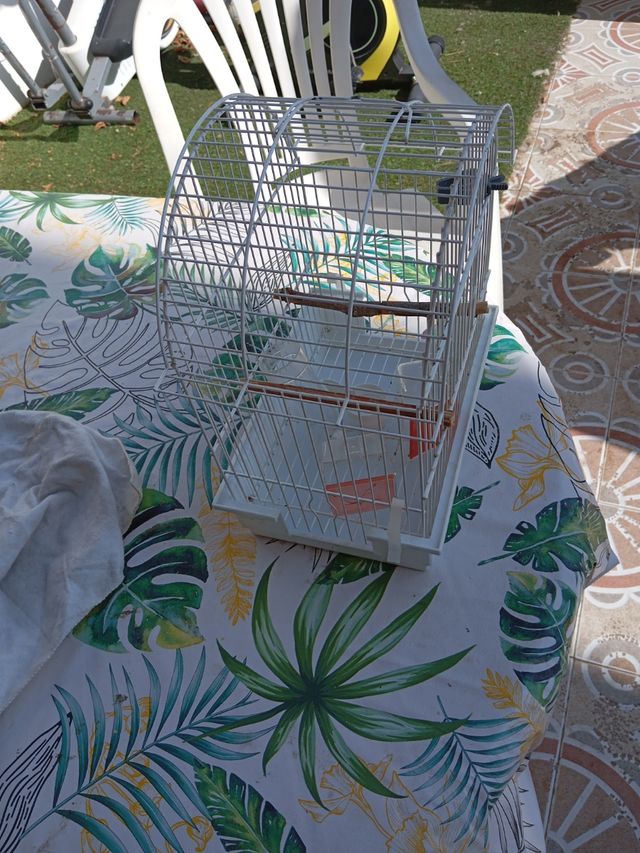 Jaula con sus accesorios 
