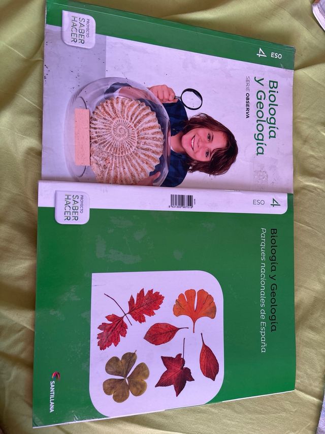 Libro 4 eso biologia y geologia santillana