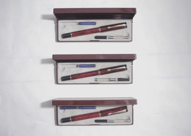 Penne Stilografiche Marksman Les Stylos President