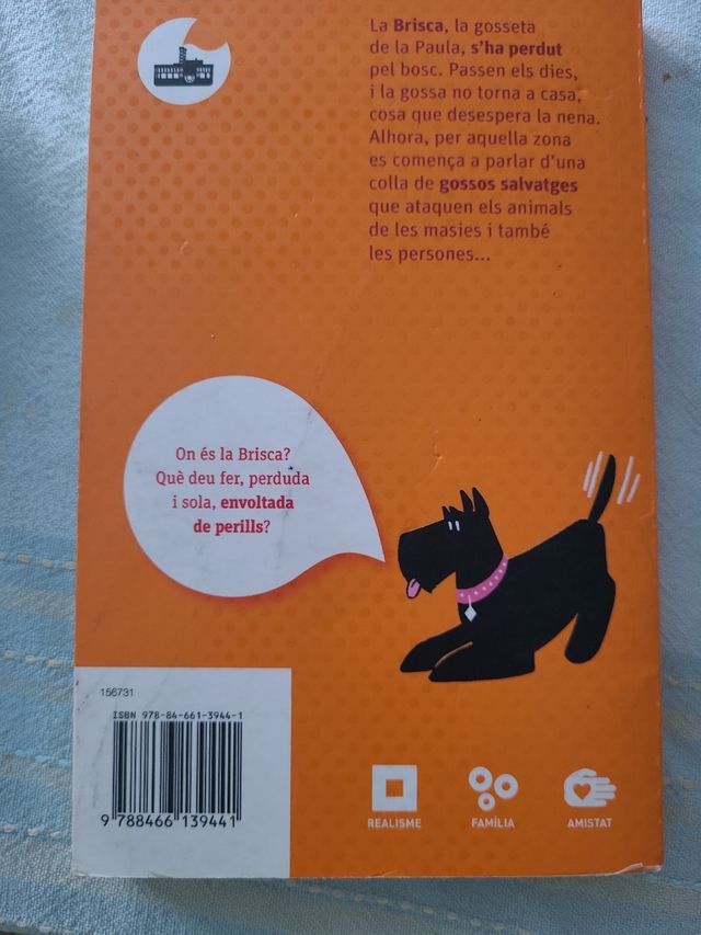 Brisca. El Vaixell de Vapor