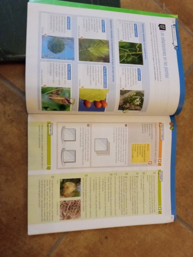 Libro de texto 1 Eso