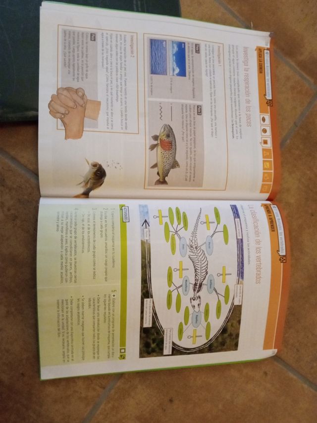 Libro de texto 1 Eso