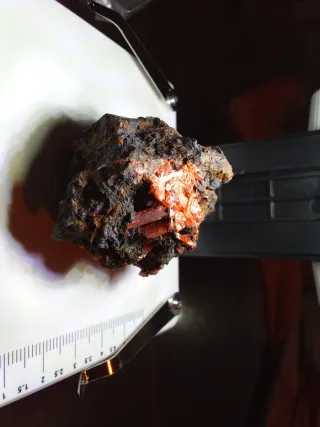 Minerali da collezione