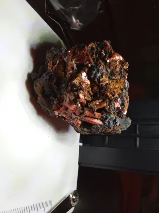 Minerali da collezione