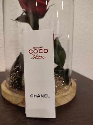 Lote Chanel
