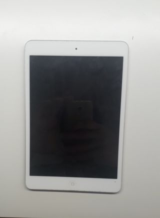 iPad Mini