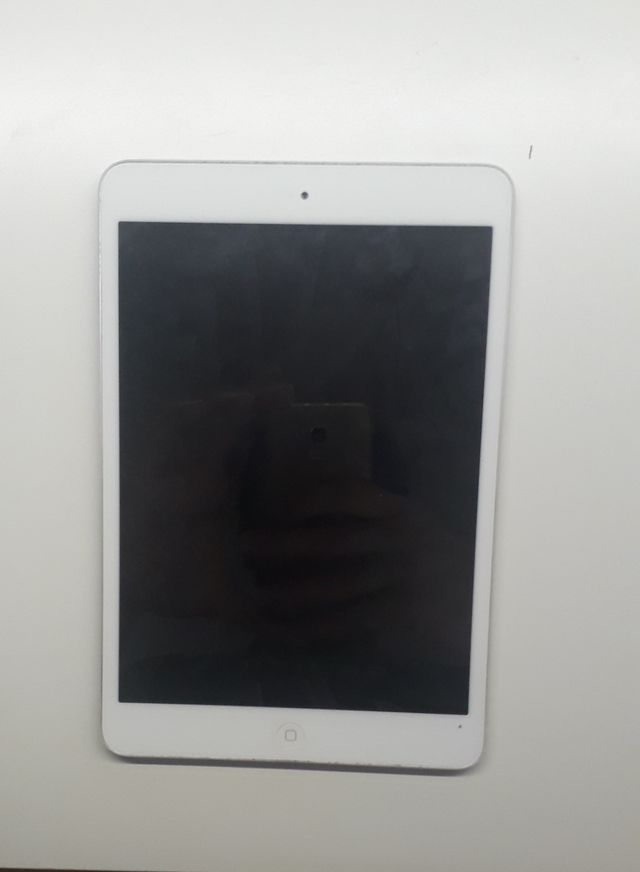 iPad Mini