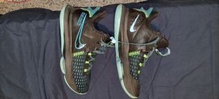 Zapatillas Baloncesto LeBron Witness 5