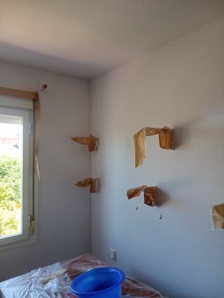 Pintor autonomo / precio bueno , no barato