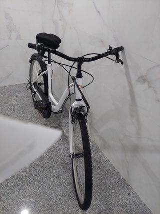 Bicicleta Toplife adultos