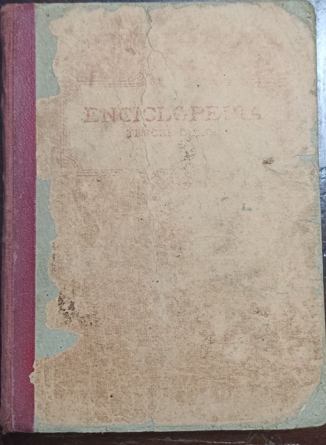 ENCICLOPEDIA ESCOLAR EDELVIVES 3ER GRADO 1933 (83)