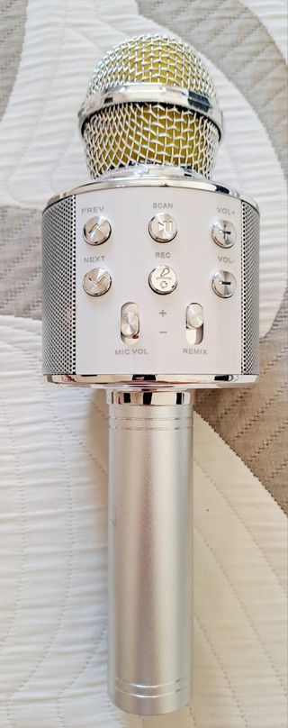 Karaoke Micrófono Nikola & Co.