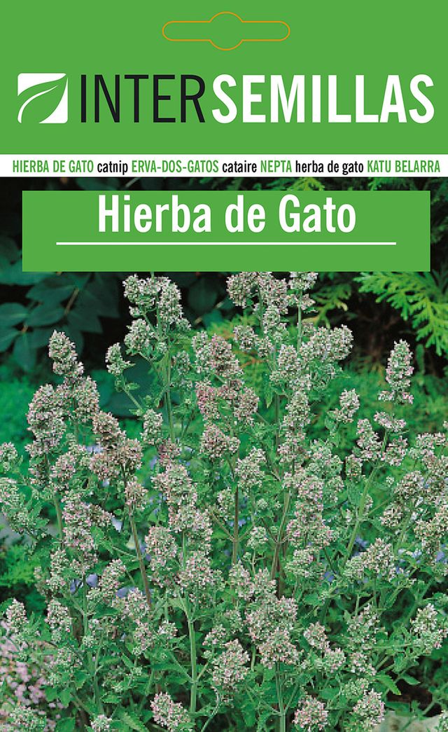 Sobre de semillas de hierba para gatos CATNIP