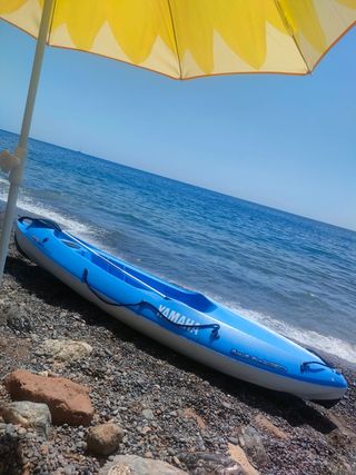 Kayak bic