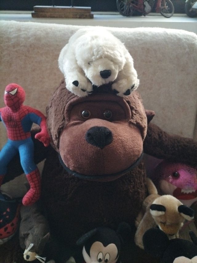 Conjunto de Peluches