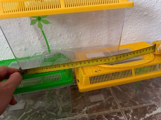 3 Mini acquari per tartarughe