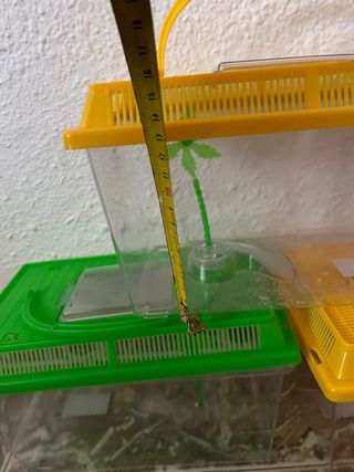 3 Mini acquari per tartarughe