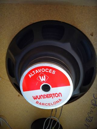 Par altavoces 10" Pioneer/Wonderton 100W