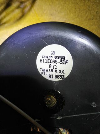 Par altavoces 10" Pioneer/Wonderton 100W