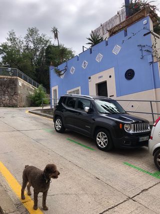 Jeep Renegade 2017