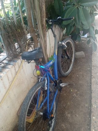 Bicicleta