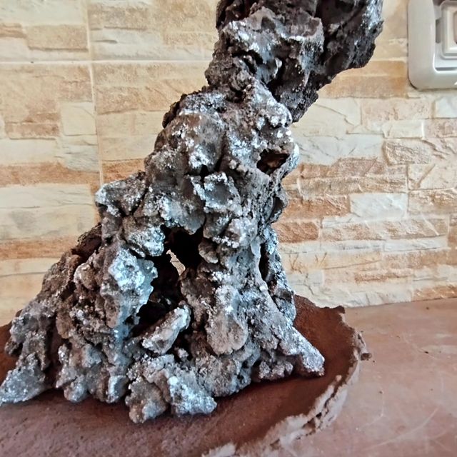 Struttura/vaso ishizuki bonsai