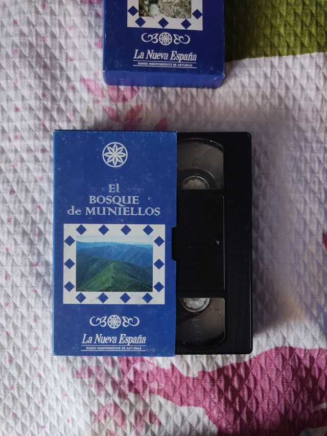 colección de vhs de Asturias