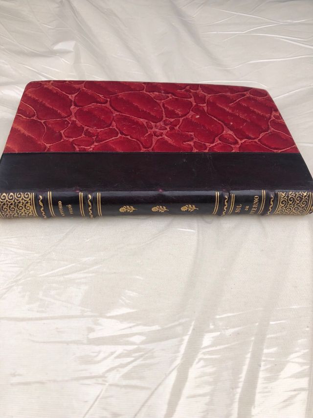 Sol de Inverno Antonio Feijó