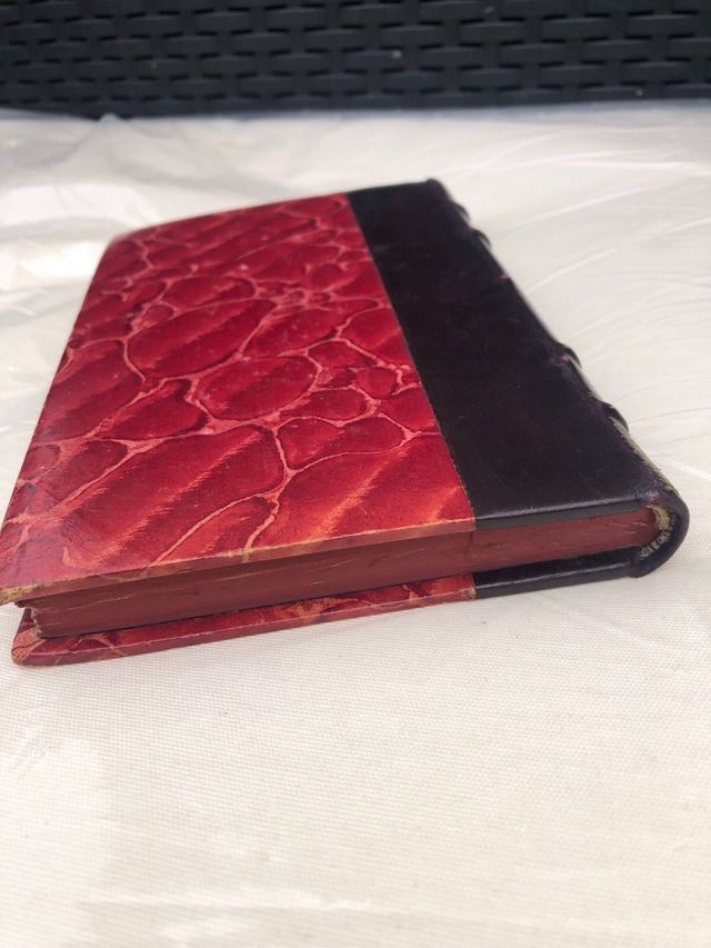 Sol de Inverno Antonio Feijó