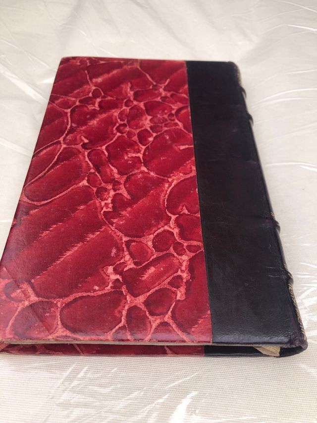 Sol de Inverno Antonio Feijó