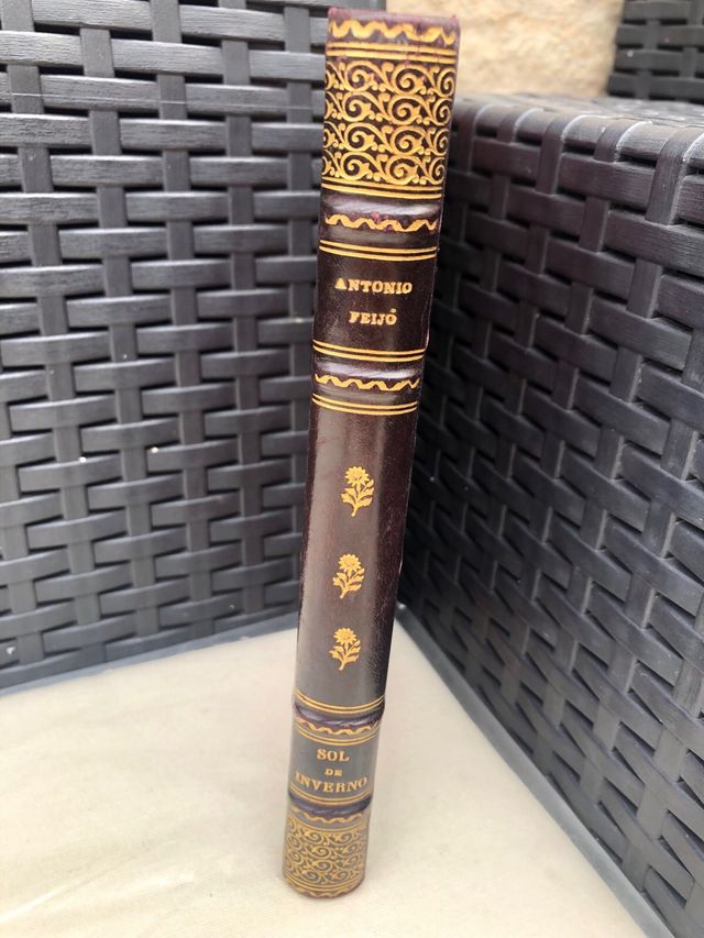 Sol de Inverno Antonio Feijó