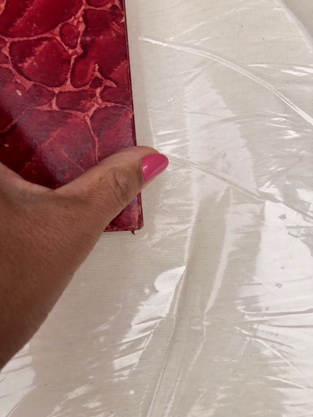 Sol de Inverno Antonio Feijó