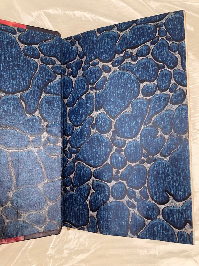 Sol de Inverno Antonio Feijó