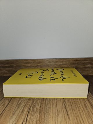 Livro O Ano da Morte de Ricardo Reis