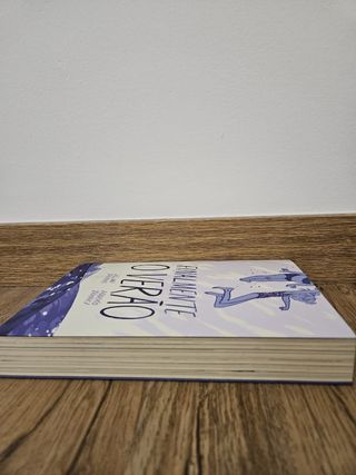 Livro Finalmente O Verão