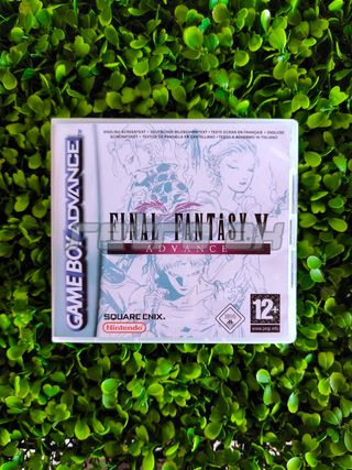 Caja Final Fantasy V Advance