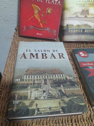 Lote libros de Matilde Asensi