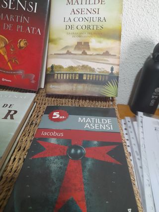 Lote libros de Matilde Asensi