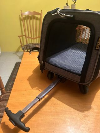 Trasportin perro pequeño