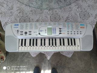 Órgano musical