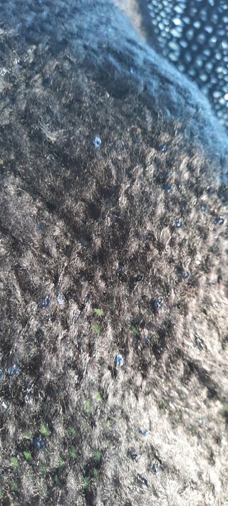 Sciarpa a collo blu con paiettes 