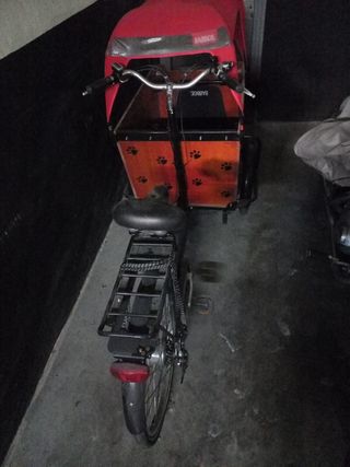 Ebike cargo