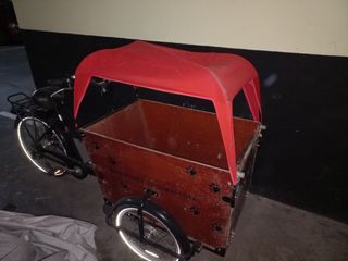 Ebike cargo