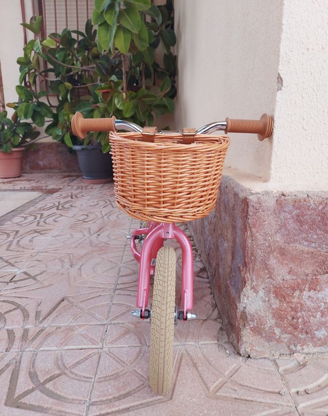 Bici niña Raleigh Sherwood