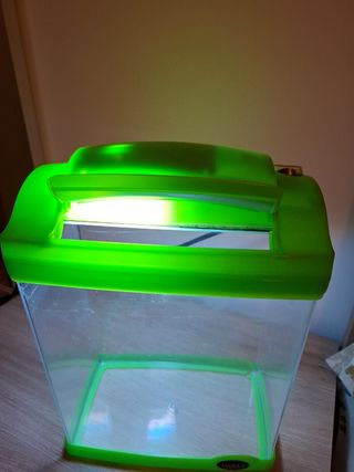 Pecera con luz