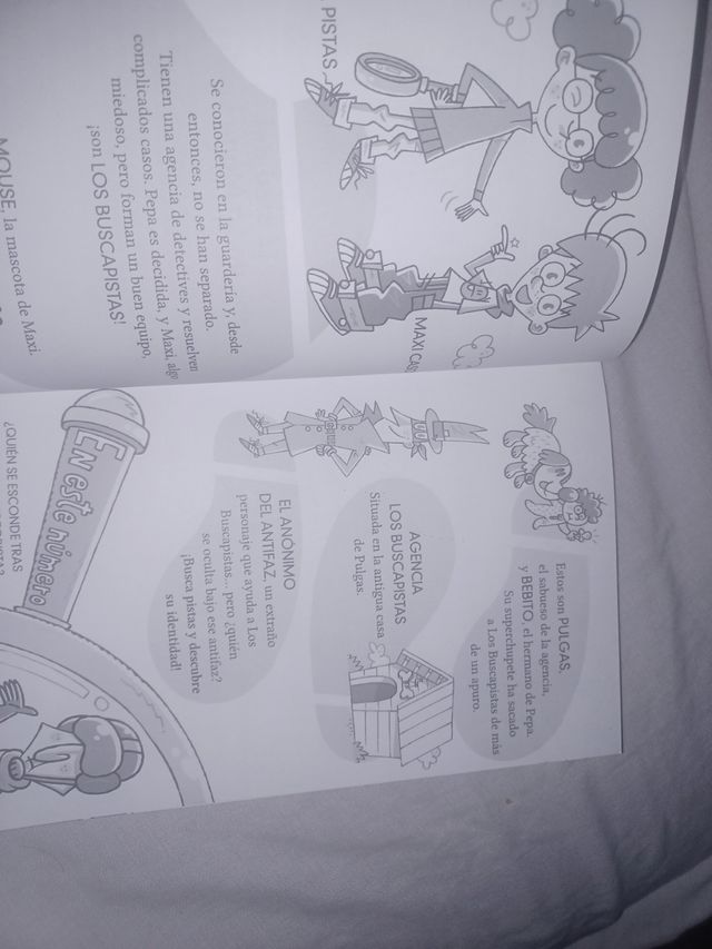 El caso del robo de la Mona Louisa