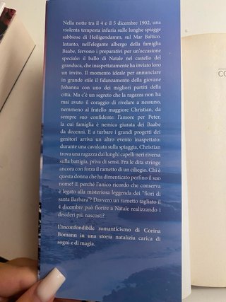 il fiore d’inverno
