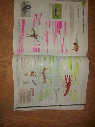Libro biología y geología 1° ESO