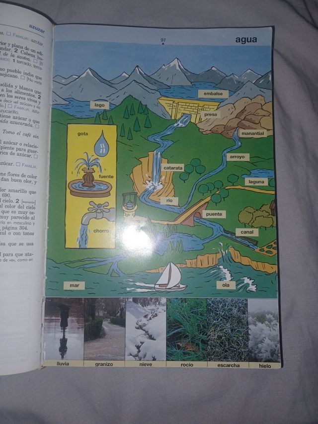 Diccionario. Primaria nivel Básico. Sm